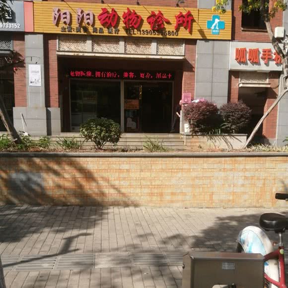 阳阳动物诊所:泉州市晋江市青阳街道附近