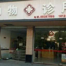 康隆动物诊所:泉州市晋江市青阳街道附近