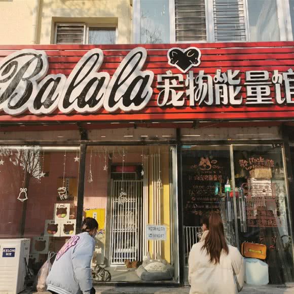 Balala宠物能量馆:北京城区怀柔区怀柔区附近