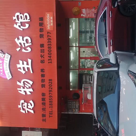 宠物生活馆:泉州市晋江市陈埭镇附近