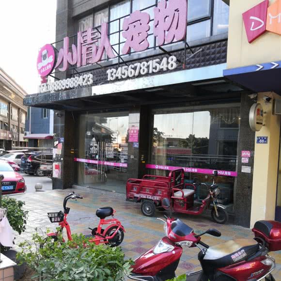 小情人狗狗:泉州市南安市水头镇附近