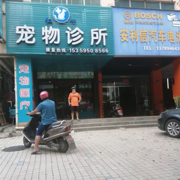 仁心宠物诊所:泉州市南安市水头镇附近