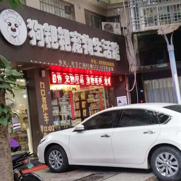 狗粑粑宠物生活馆:漳州市芗城区天下广场附近