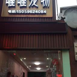 喔喔宠物:漳州市芗城区市政府附近