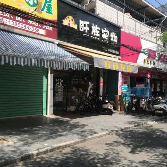 旺族宠物:漳州市平和县平和县附近