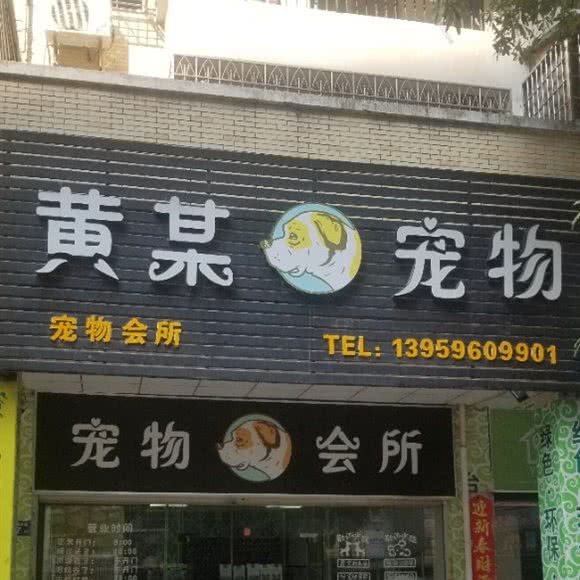 黄某宠物:漳州市龙海区角美镇附近