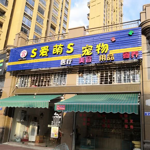 S爱萌S宠物:漳州市龙海区石码街道附近