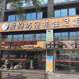 爱宠坊宠物生活馆(龙海店):漳州市龙海区石码街道附近