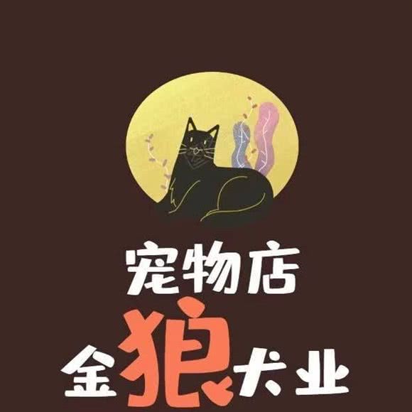 金狼犬业宠物训练寄养:宁德市蕉城区万达附近