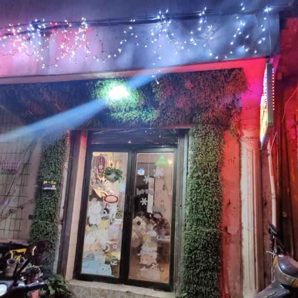 宠物店:南昌市东湖区胜利路附近