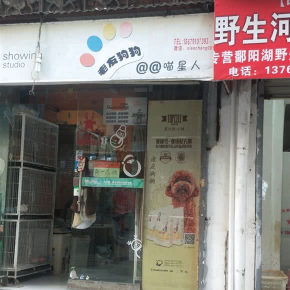 老友狗狗:南昌市东湖区胜利路附近