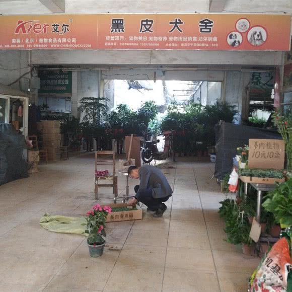 黑皮犬舍:南昌市东湖区福州路附近