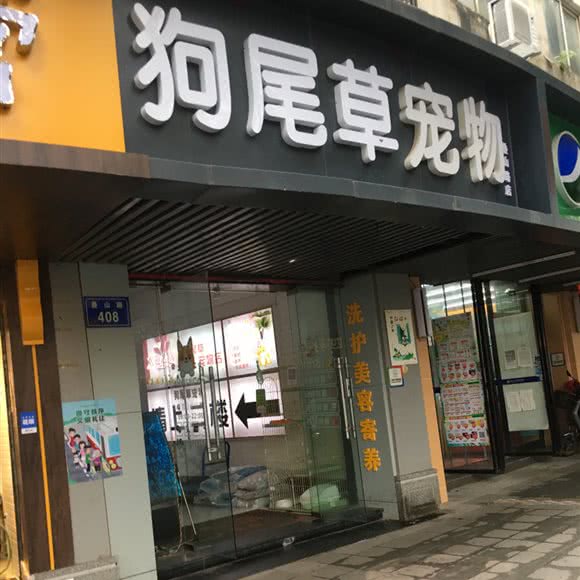 狗尾草宠物(叠山路店):南昌市东湖区滕王阁附近
