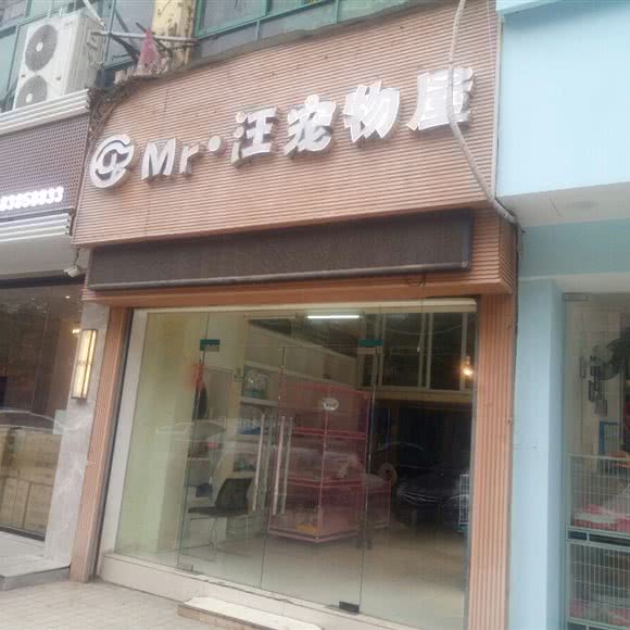 Mr·汪宠物屋:南昌市西湖区八一广场/省府附近