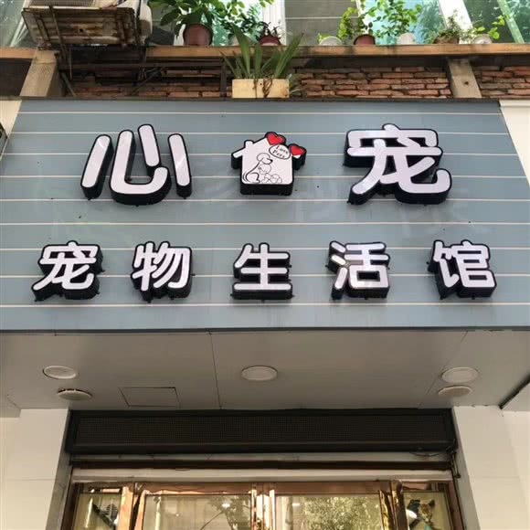 心宠宠物生活馆:南昌市西湖区老福山附近