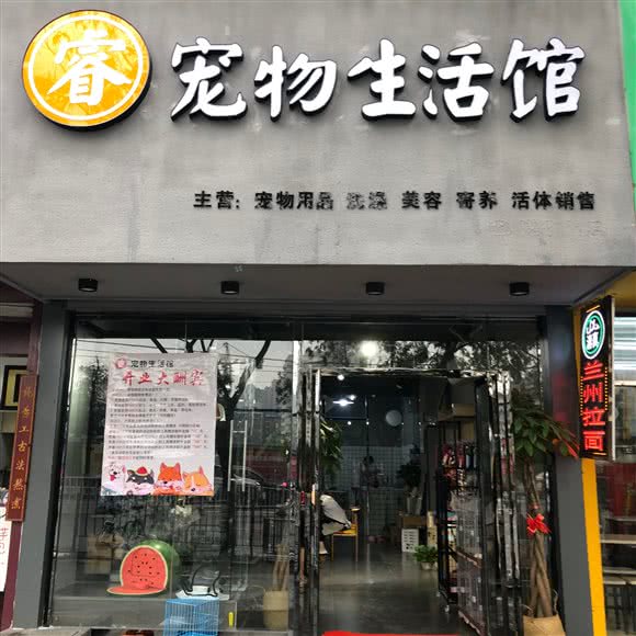 睿宠物生活馆:南昌市西湖区孺子路附近