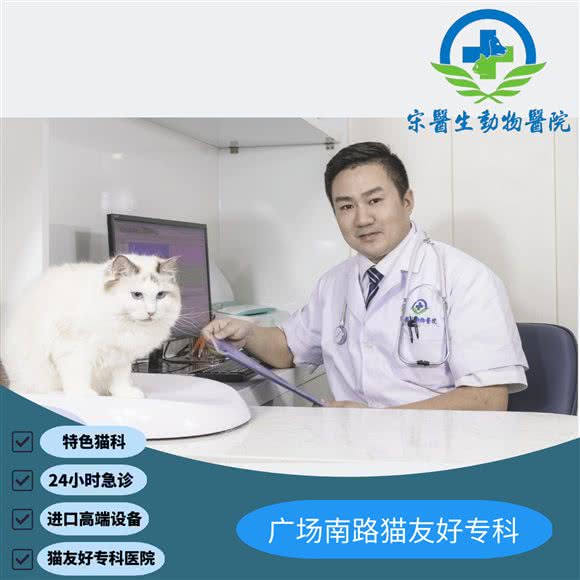 宋医生动物医院(24h猫科诊疗中心)(广场南路店):南昌市西湖区恒茂国际华城附近
