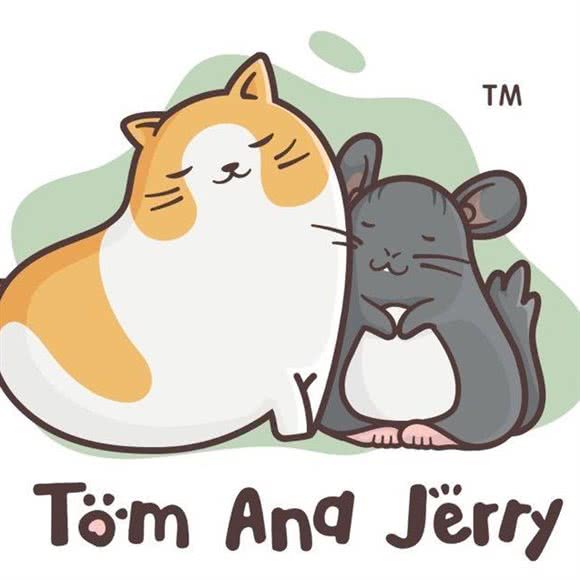 Tom And Jerry ·CFA注册猫舍·龙猫馆:南昌市青山湖区昌北经济开发区附近