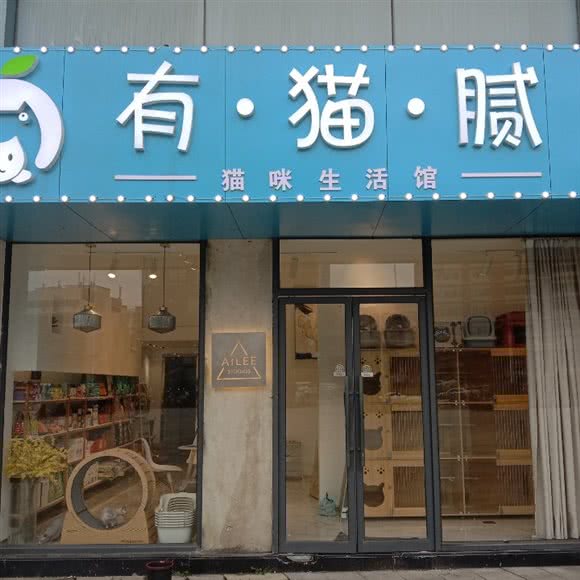 有猫腻?桔子猫咪生活馆(桔子宠物梦时代店):南昌市青山湖区恒茂梦时代附近
