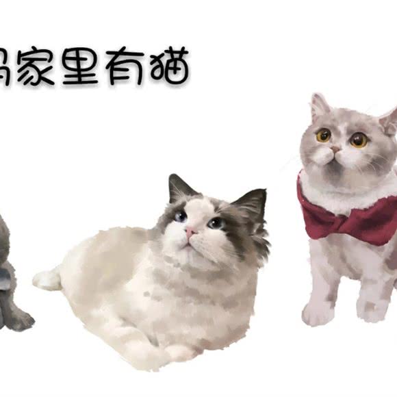 朱爸爸妈妈家里有猫·猫舍:南昌市青山湖区南昌大学附近