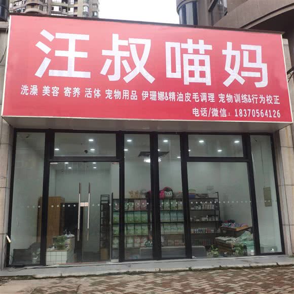 汪叔喵妈:南昌市青山湖区上海路附近