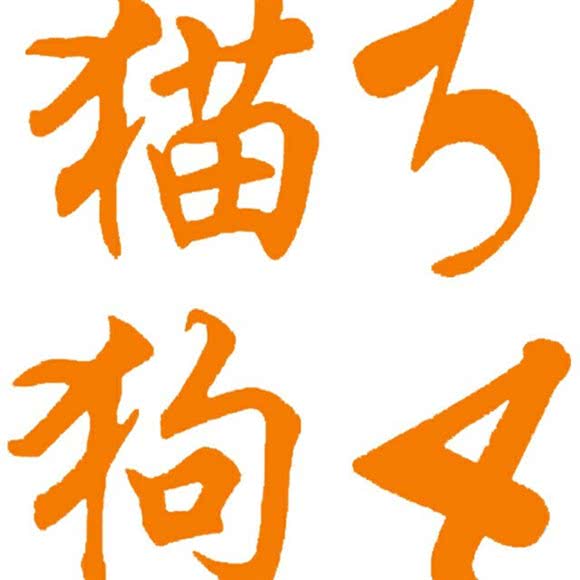 猫3狗4宠物店:南昌市青山湖区北京东路附近