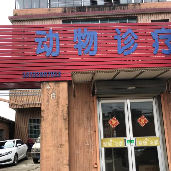 动物诊疗:南昌市青山湖区高新南大道附近