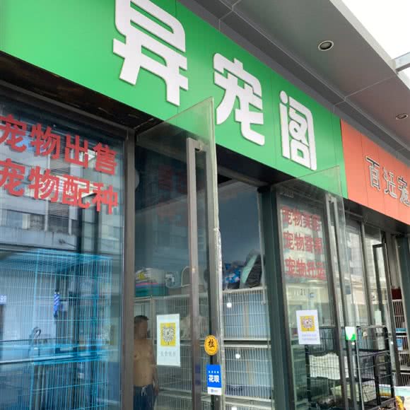 异宠阁:南昌市红谷滩区万达广场附近