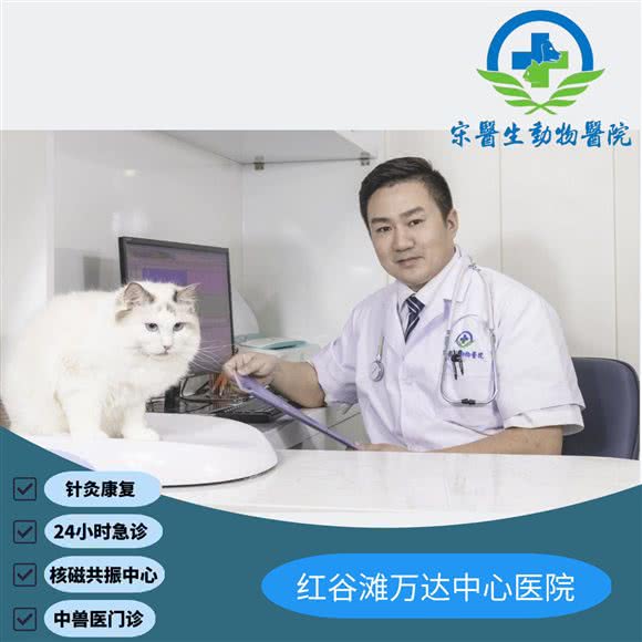 宋医生动物医院(24hMRI中心):南昌市红谷滩区万达广场附近