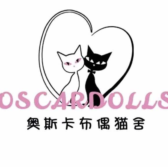 奥斯卡布偶猫舍· 猫咖:南昌市红谷滩区红角洲/前湖大学城附近