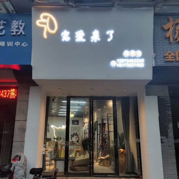 宠爱来了:南昌市红谷滩区怡园路附近