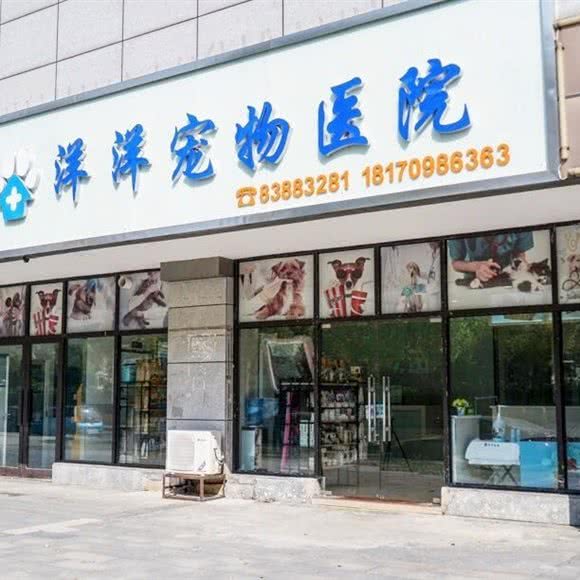 洋洋宠物医院:南昌市红谷滩区秋水广场附近