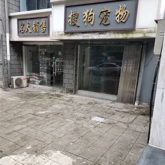 搜狗宠物:南昌市南昌县南昌县附近