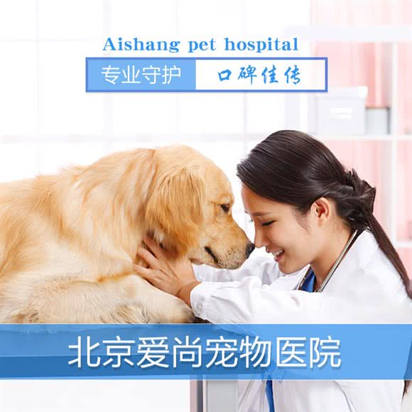 爱尚宠物医院:北京城区平谷区平谷区附近