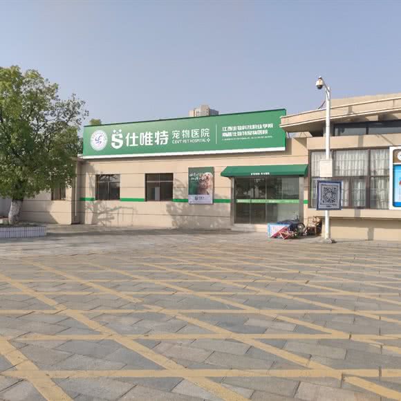 生科宠物医院:南昌市南昌县南昌县附近
