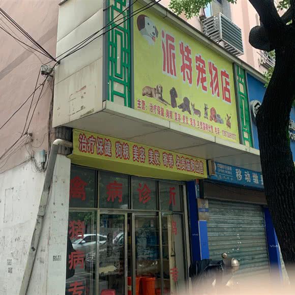 派特宠物店:南昌市进贤县进贤县附近