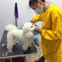 爱康宠物医院:南昌市进贤县进贤县附近
