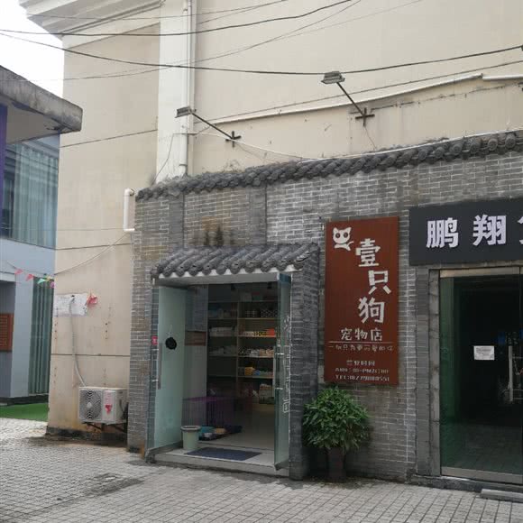 壹只狗宠物店:景德镇市珠山区人民广场附近