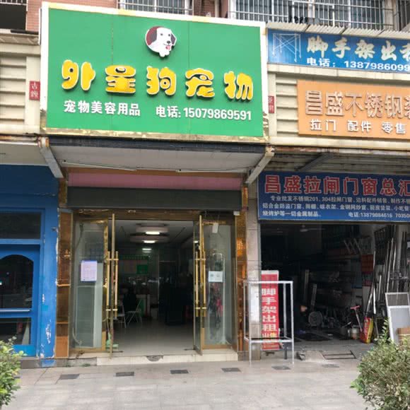 外星狗宠物:景德镇市珠山区浙江路附近