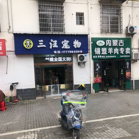 三汪宠物:景德镇市珠山区老陶院附近