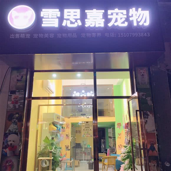 雪思嘉宠物:萍乡市安源区文化路步行街附近
