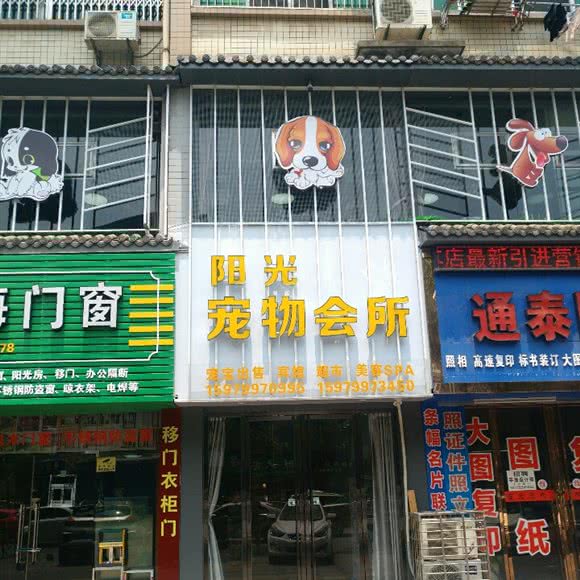 阳光狗狗会所:九江市浔阳区九龙街附近