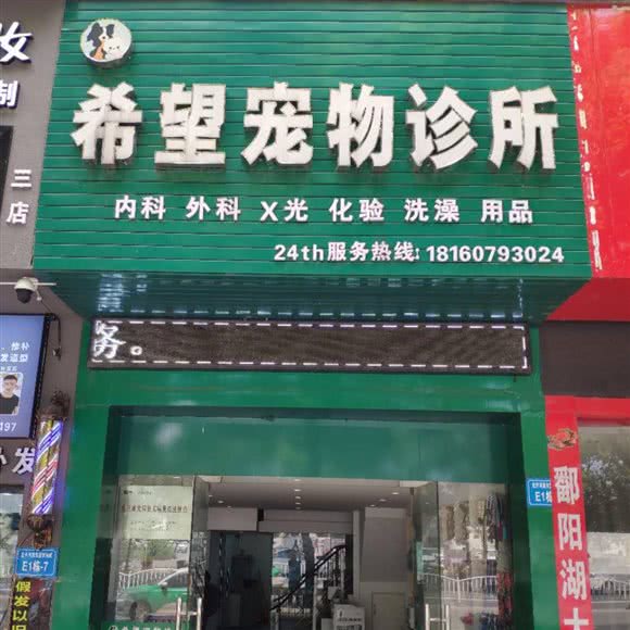 希望宠物诊所:九江市浔阳区新桥头附近