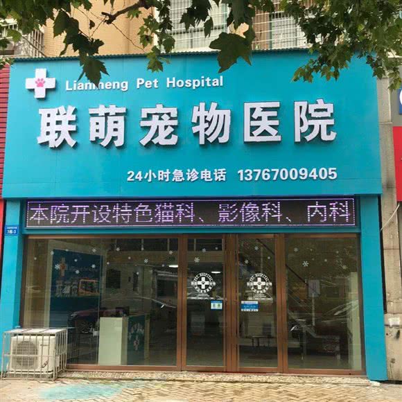 联萌宠物医院:九江市浔阳区职大附近
