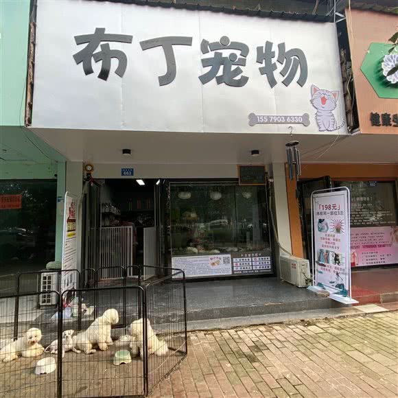 布丁宠物:新余市渝水区抱石大道附近