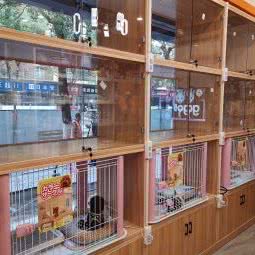 派多格宠物(鹰潭店):鹰潭市月湖区月湖区中心/鹰潭站附近