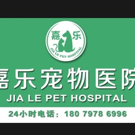江西嘉乐宠物医院:赣州市章贡区万象城附近