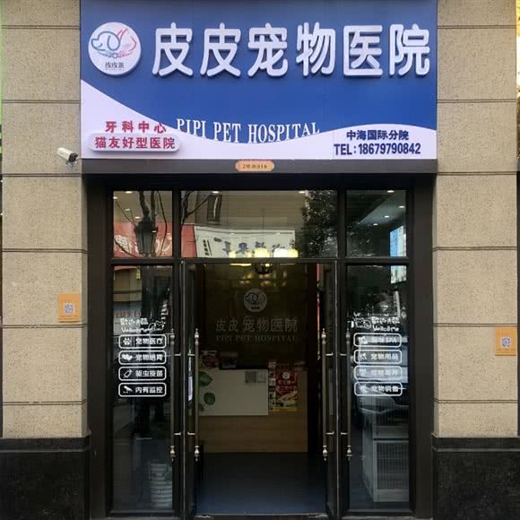 皮皮宠物医院(中海国际分院):赣州市章贡区万象城附近