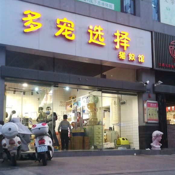 多宠选择猫奴馆:赣州市章贡区娱乐城附近