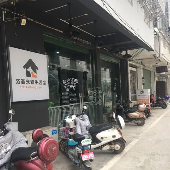 洛基宠物生活馆:赣州市章贡区娱乐城附近